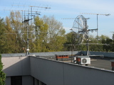 IMG_8721.JPG