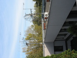 IMG_8722.JPG