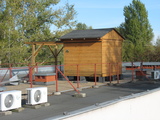 IMG_8724.JPG