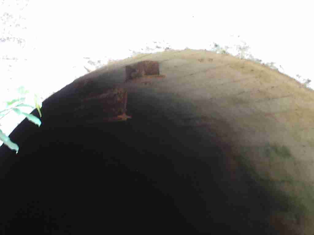 tunelnutra