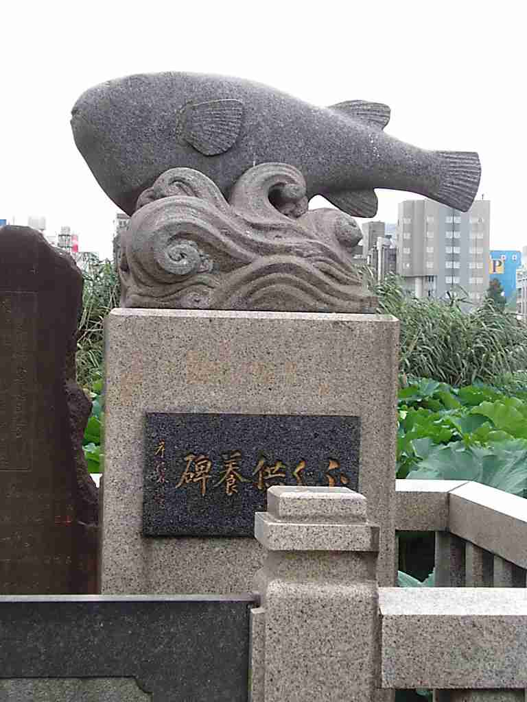 fish