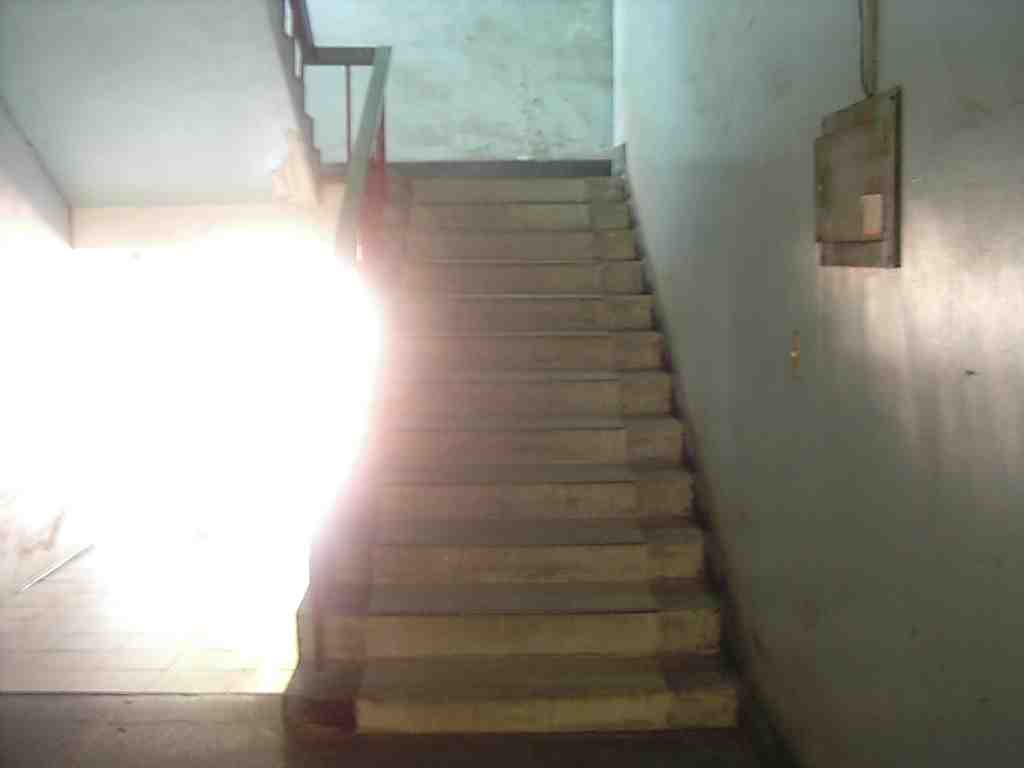 tnnsta