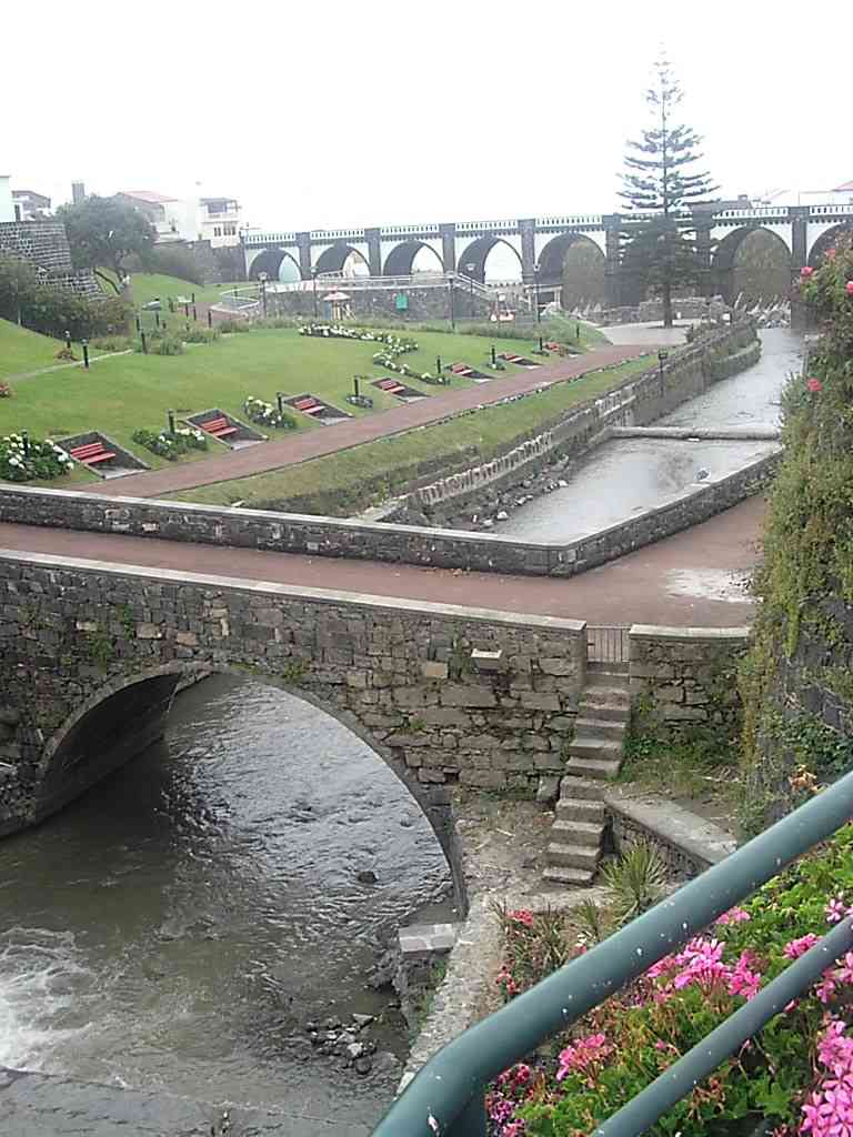 rib3