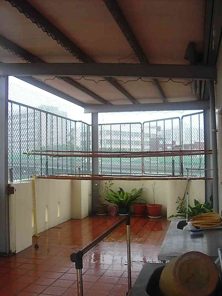 top