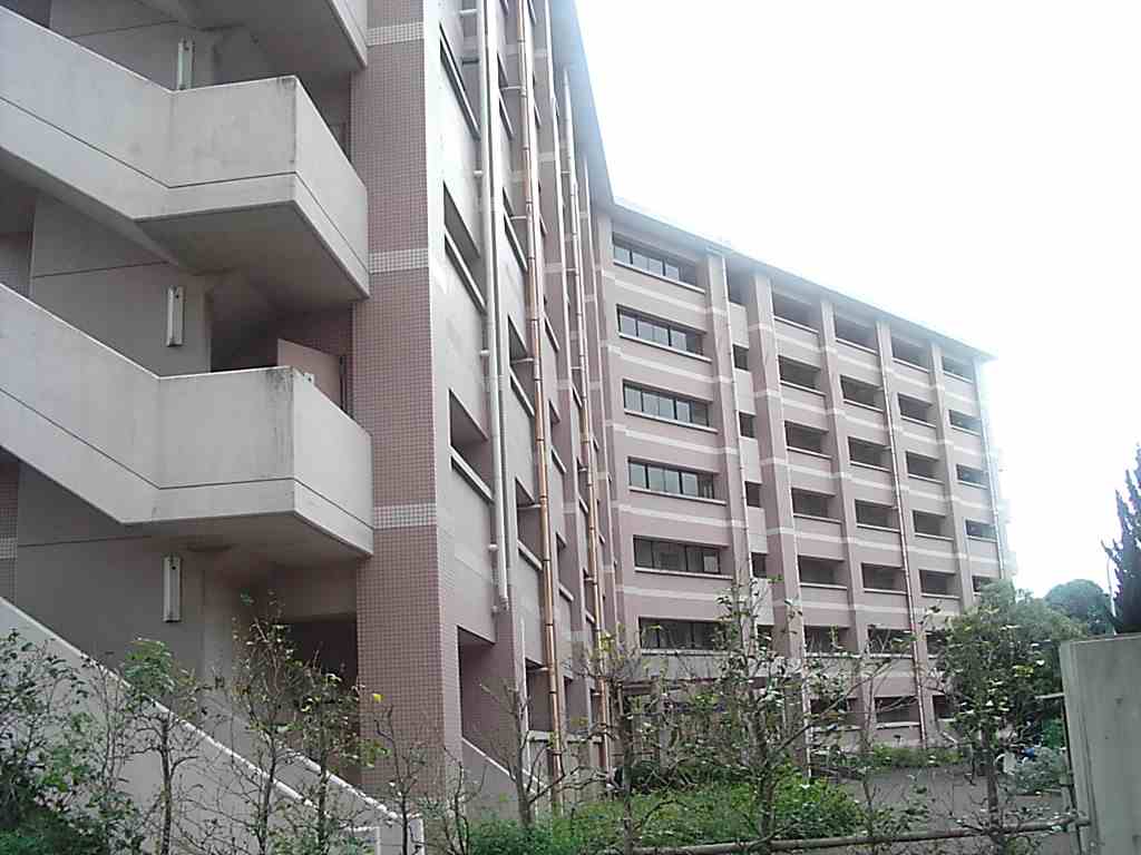 dorm
