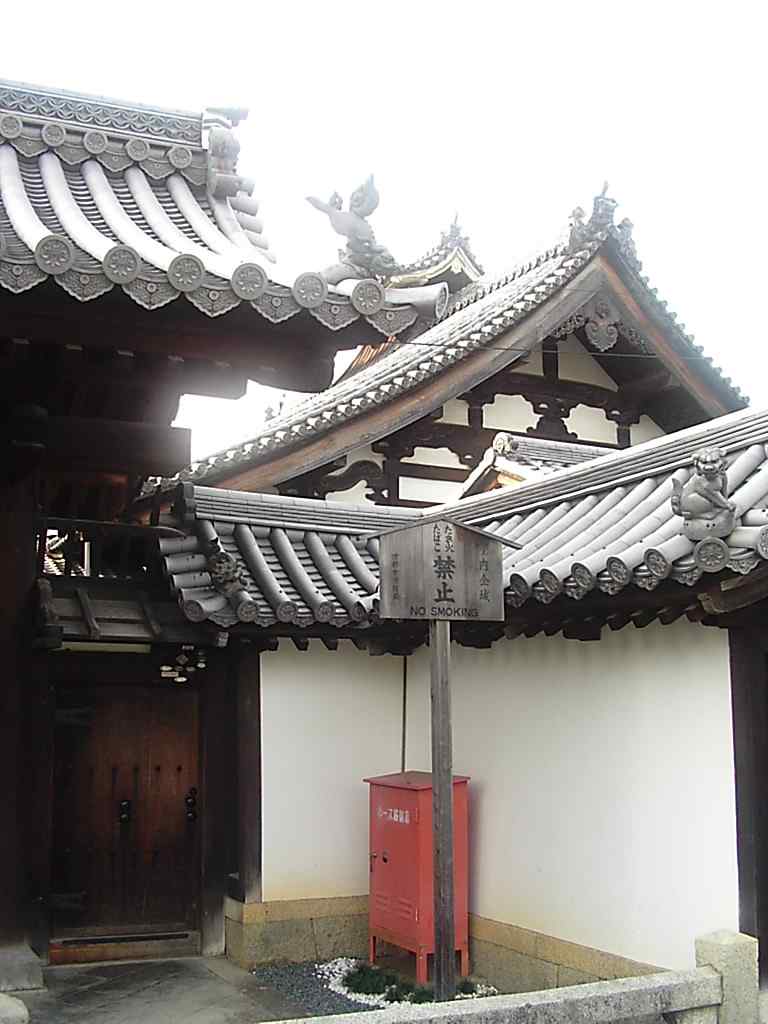 kyuu2