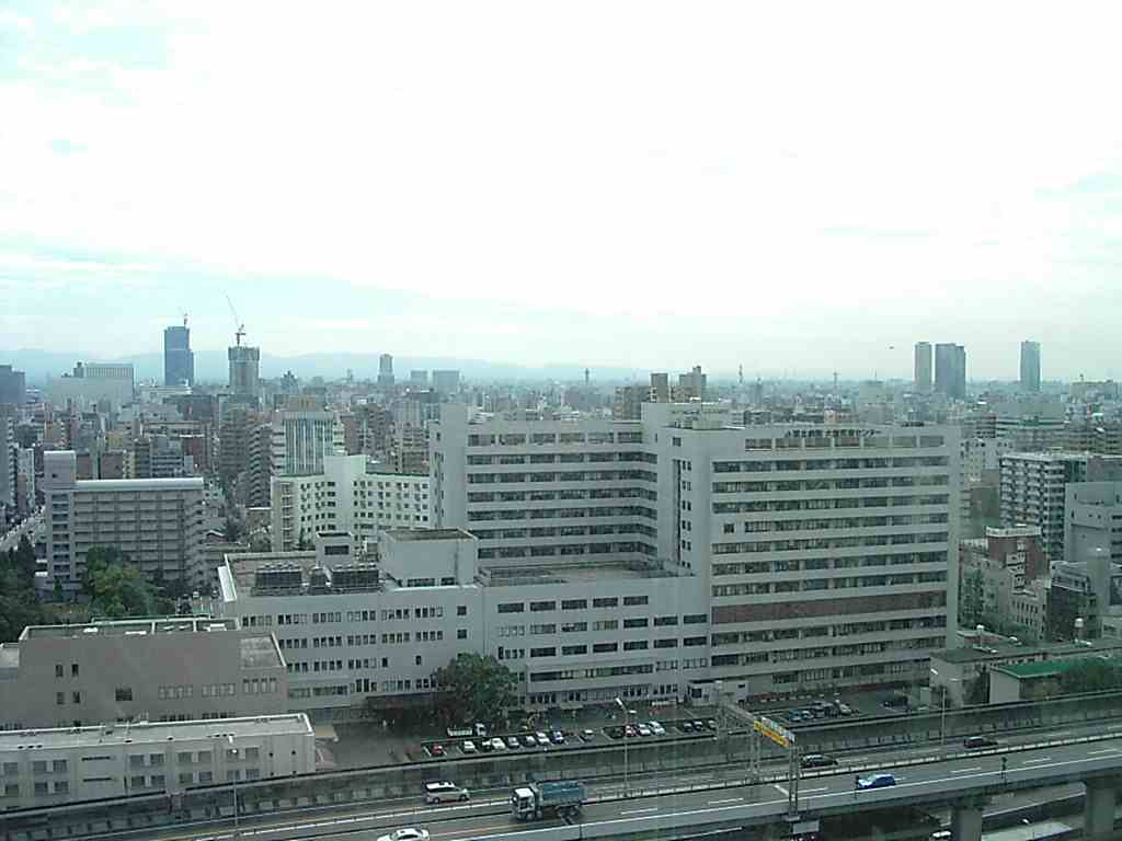 pakov