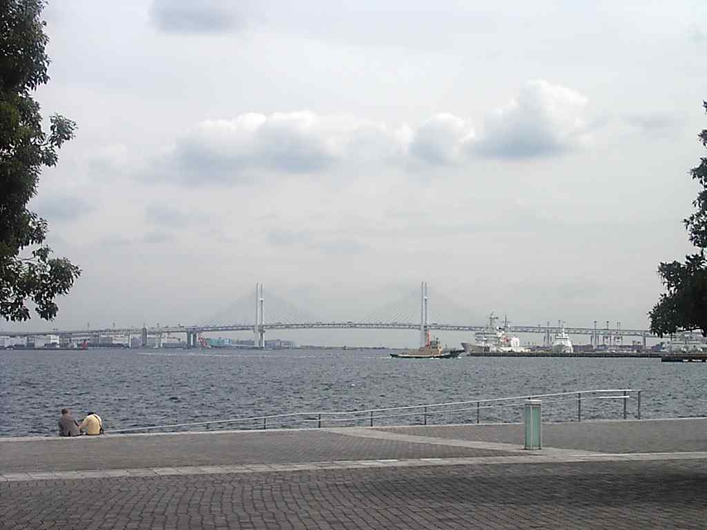 yokbrg