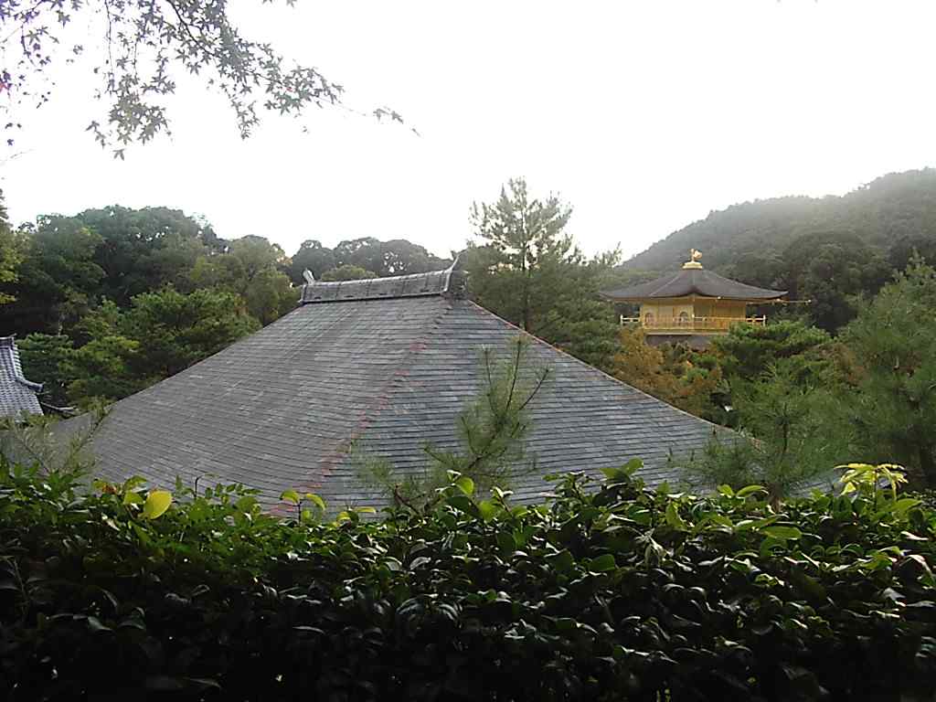 zlpav3