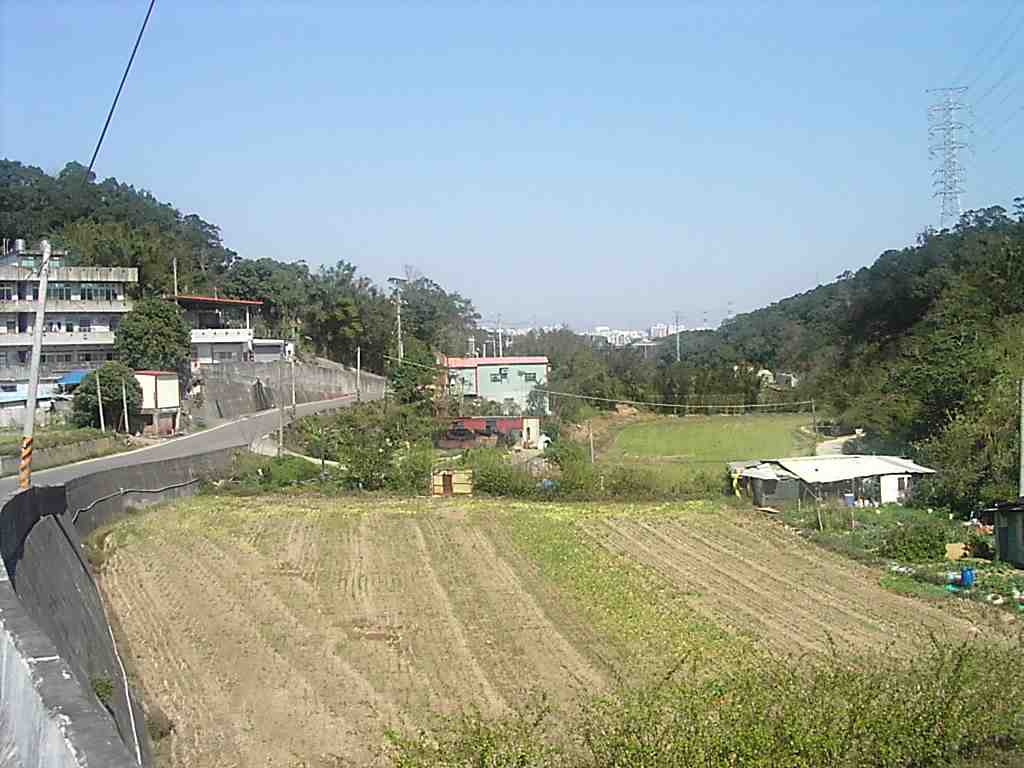 fved