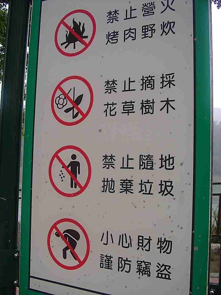 shih6