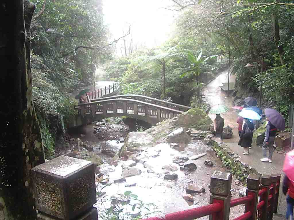 shodaci