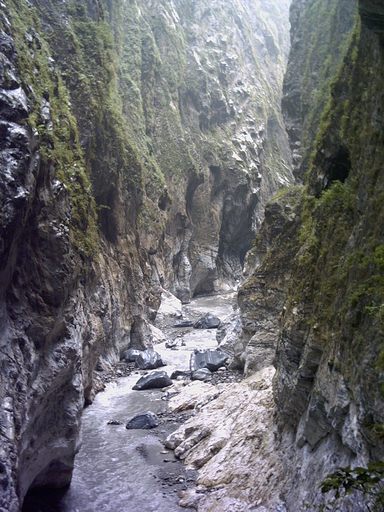pic4