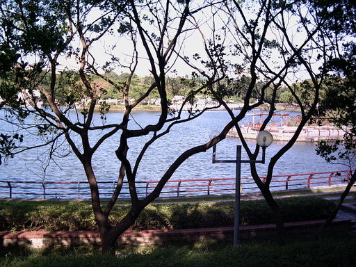 pic3
