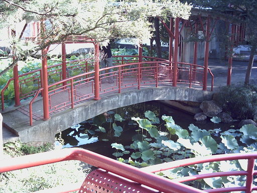 pic3