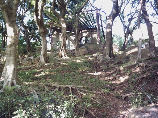 pic3