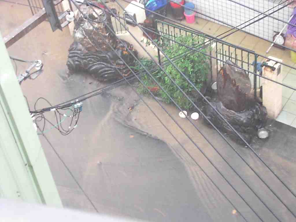 flood