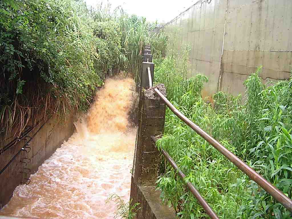 flood2
